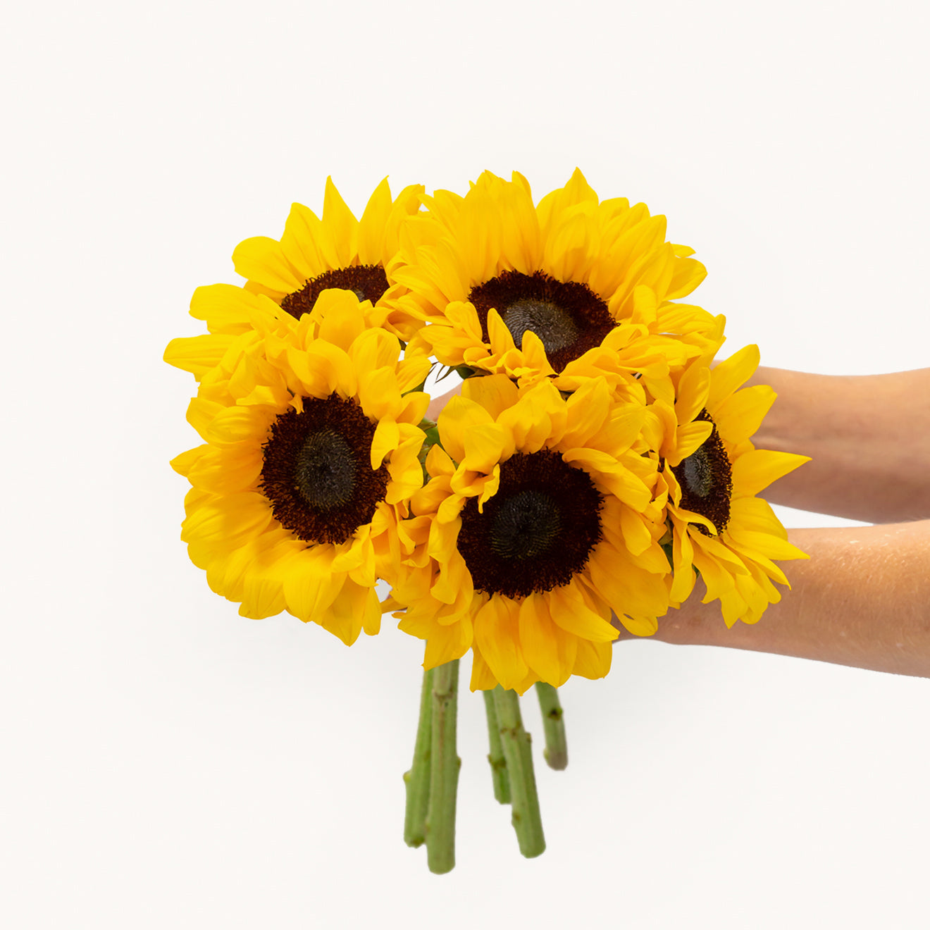 Sunflowers by BloomsyBox