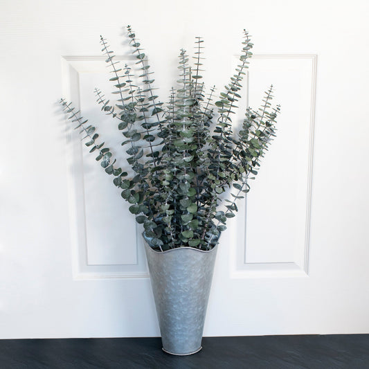 Preserved Baby Eucalyptus Bundle by Andaluca Home