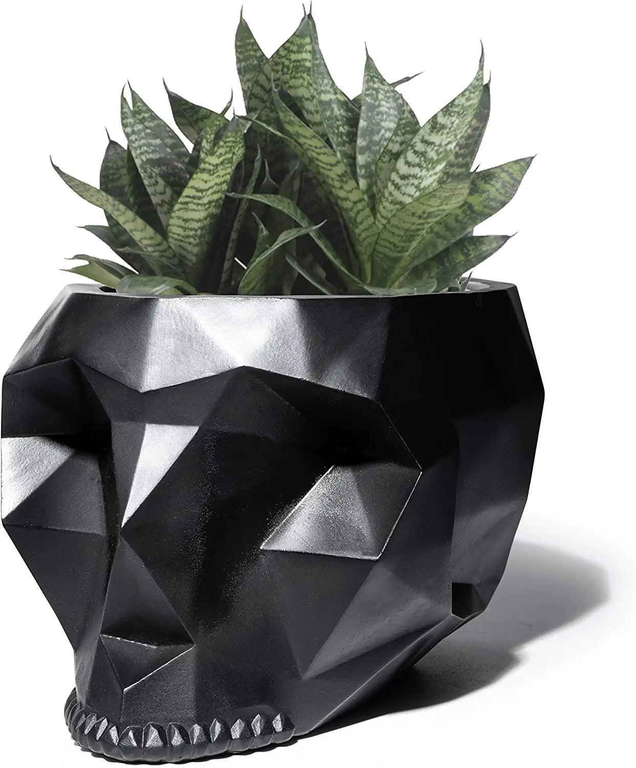 Skeleton Halloween Geometrical Skull Plant Planter Pot 6" Deep Polyresin Skulls Pot for Succulents, Indoor Plants & Flowers - Serving Bowl, Goth Spooky Décor Black by Gute Decor