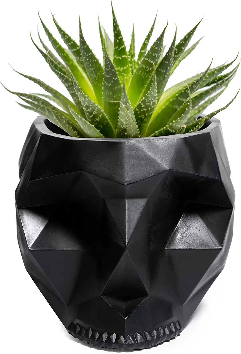 Skeleton Halloween Geometrical Skull Plant Planter Pot 6" Deep Polyresin Skulls Pot for Succulents, Indoor Plants & Flowers - Serving Bowl, Goth Spooky Décor Black by Gute Decor