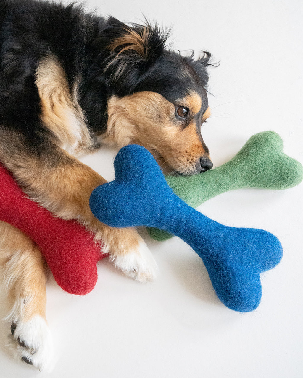 MB WOOLBONE by MODERNBEAST