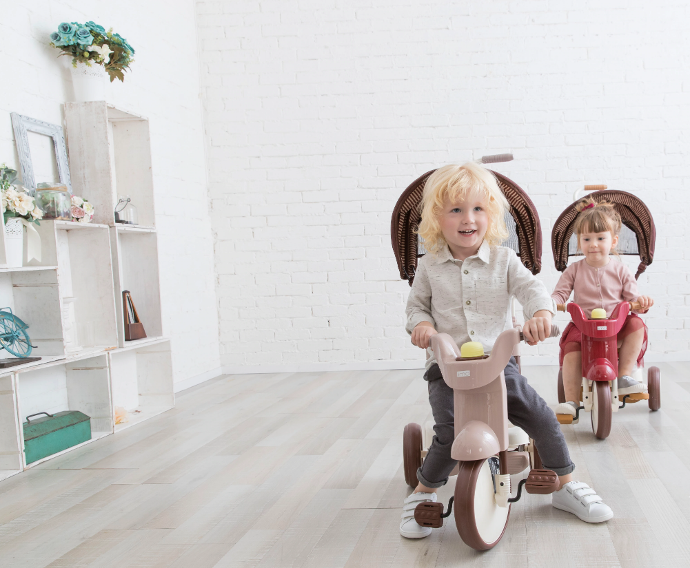 iimo 3-in-1 Foldable Tricycle with Canopy by iimo USA store