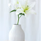 Shiraleah Loma Decorative Vase With Terracotta Base, White - FINAL SALE ONLY by Shiraleah