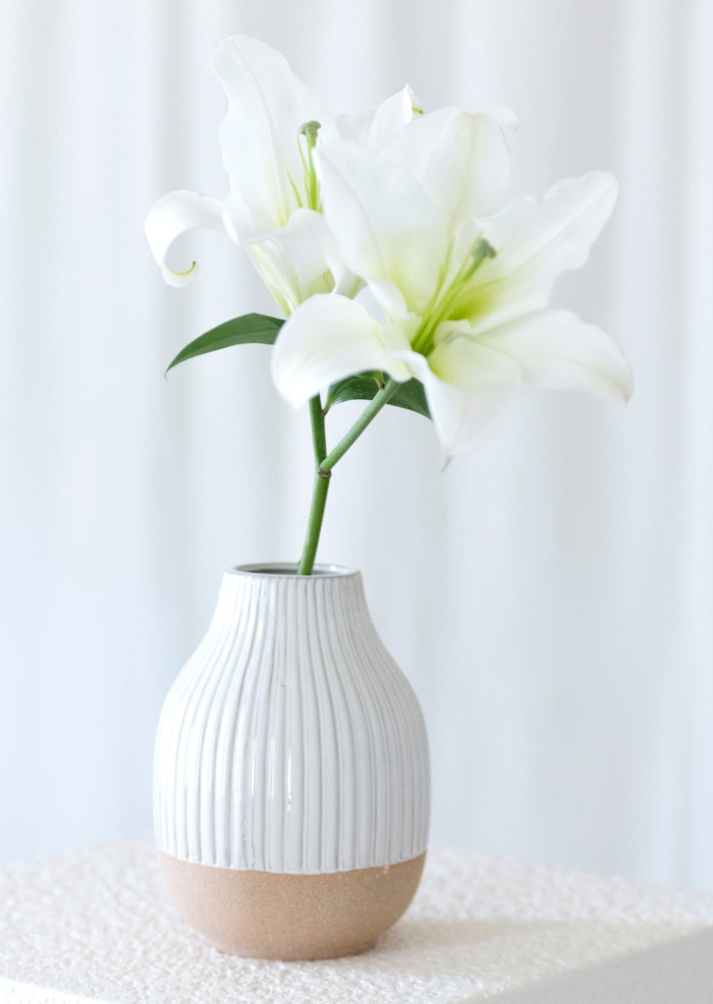 Shiraleah Loma Decorative Vase With Terracotta Base, White - FINAL SALE ONLY by Shiraleah