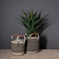 Shiraleah Assorted Set of 2 Sierra Planter Baskets, Black - FINAL SALE ONLY by Shiraleah