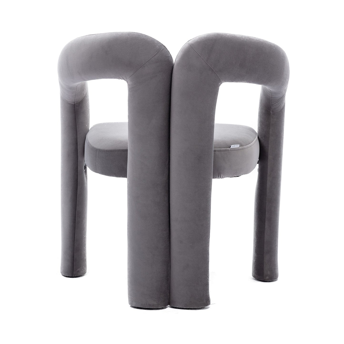 Set of 2 Contemporary Upholstered Accent Chair by Blak Hom