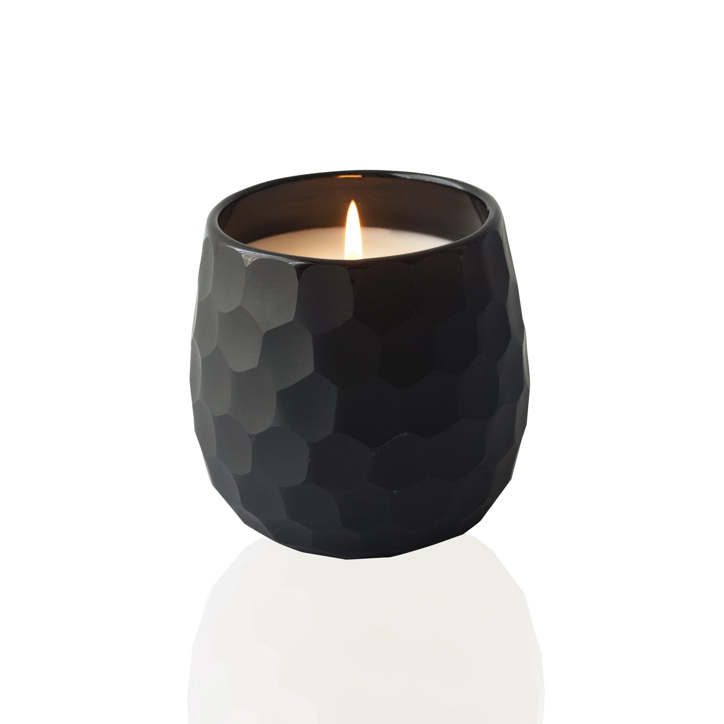 Botanique Black 16 oz Candle by Andaluca Home