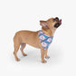 Custom Dog Bandana - Pink Diamond Patterns by GROOMY