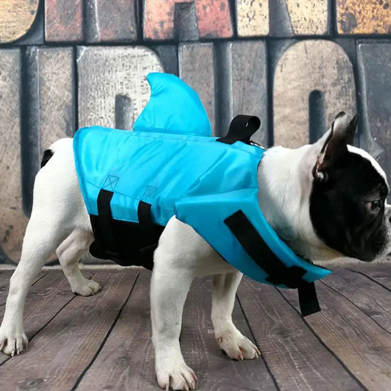Dog Life Jacket - Dog & Cat Apparel by GROOMY