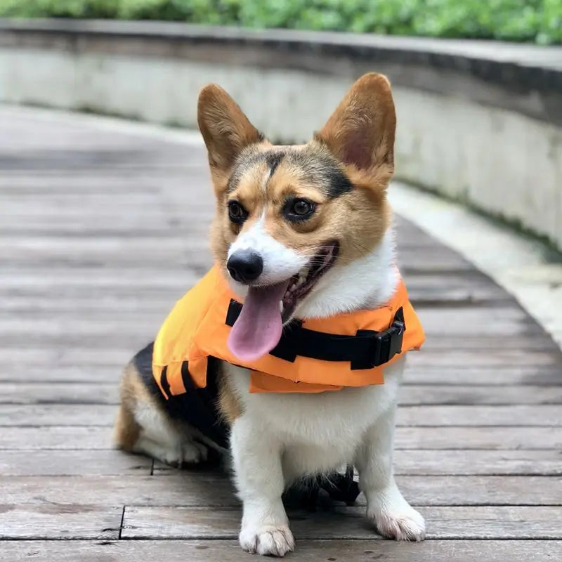 Dog Life Jacket - Dog & Cat Apparel by GROOMY