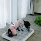 Dog Pad Holder & Toilet - Type D by GROOMY