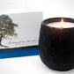 Botanique Black 16 oz Candle by Andaluca Home