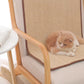 Cat Scratcher - Mat Board by GROOMY