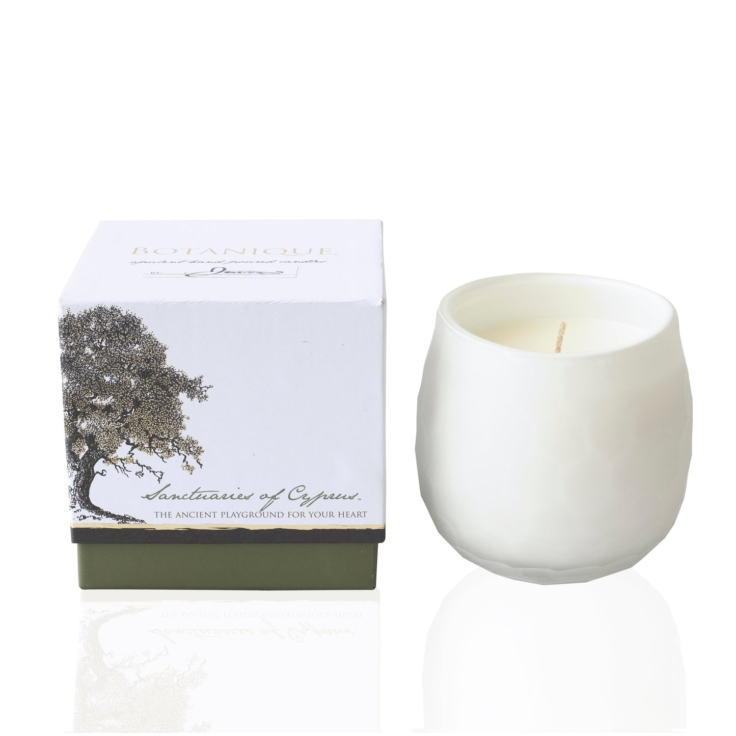 Botanique White 16 oz Candle by Andaluca Home