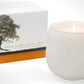 Botanique White 16 oz Candle by Andaluca Home