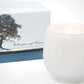 Botanique White 16 oz Candle by Andaluca Home