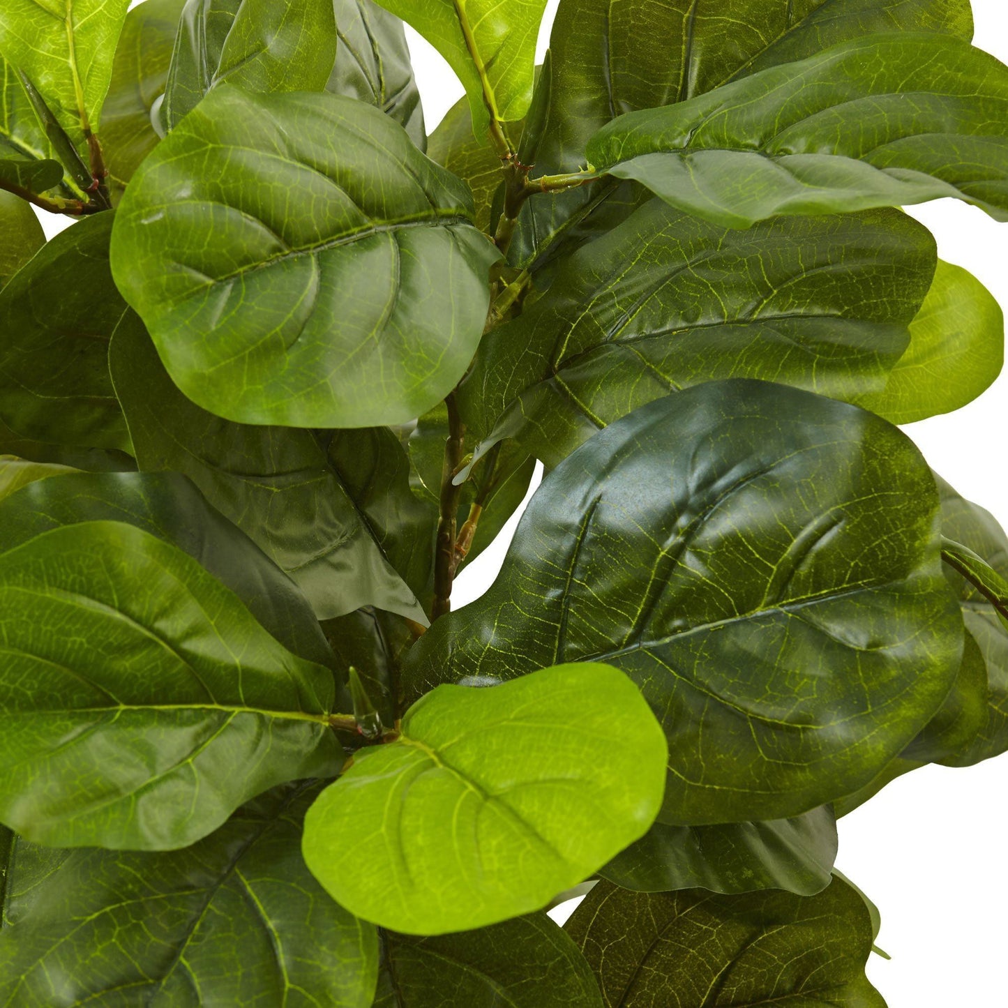 4.5’ Fiddle Leaf Fig in White Planter (Real Touch) by Nearly Natural