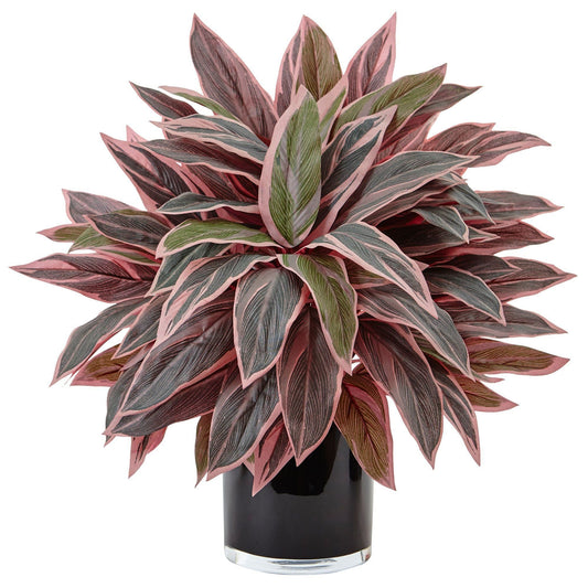 Caladium in Black Glossy Planter by Nearly Natural