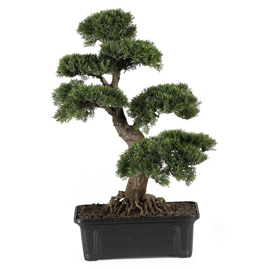 Cedar Bonsai 24" Silk Plant" by Nearly Natural