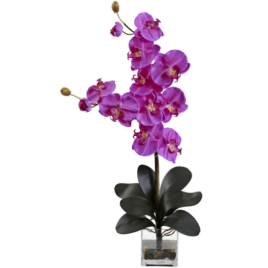 Double Giant Phalaenopsis w/Vase by Nearly Natural