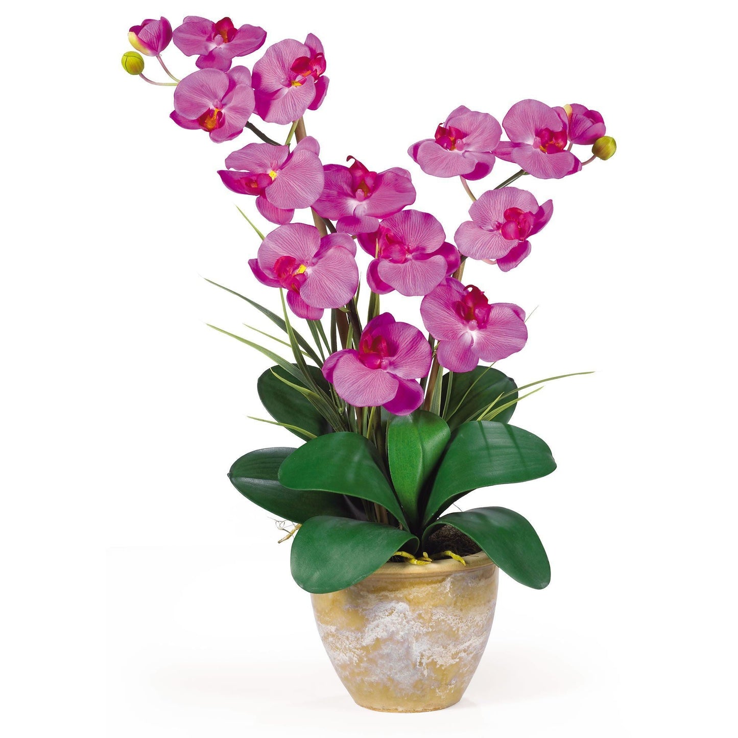 Double Stem Phalaenopsis Silk Orchid Arrangement by Nearly Natural