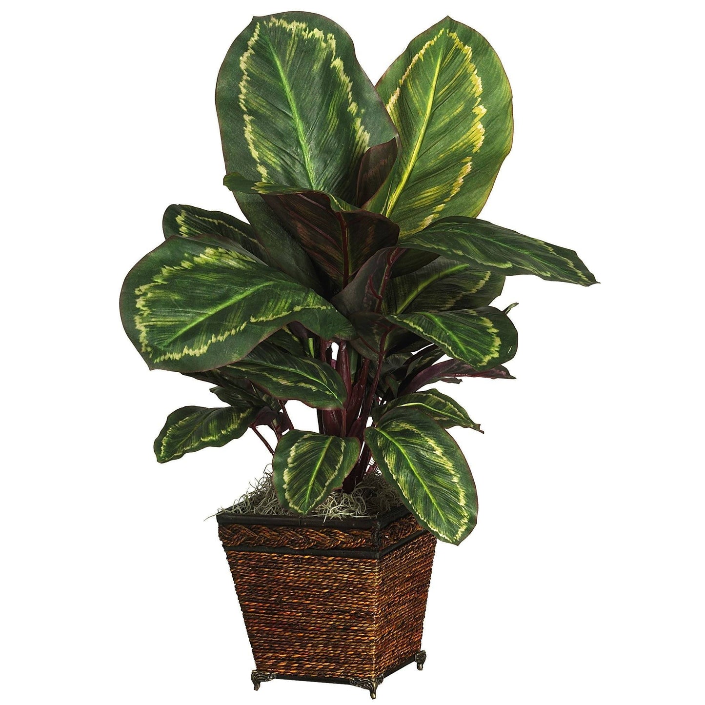 Maranta w/Basket Silk Plant by Nearly Natural