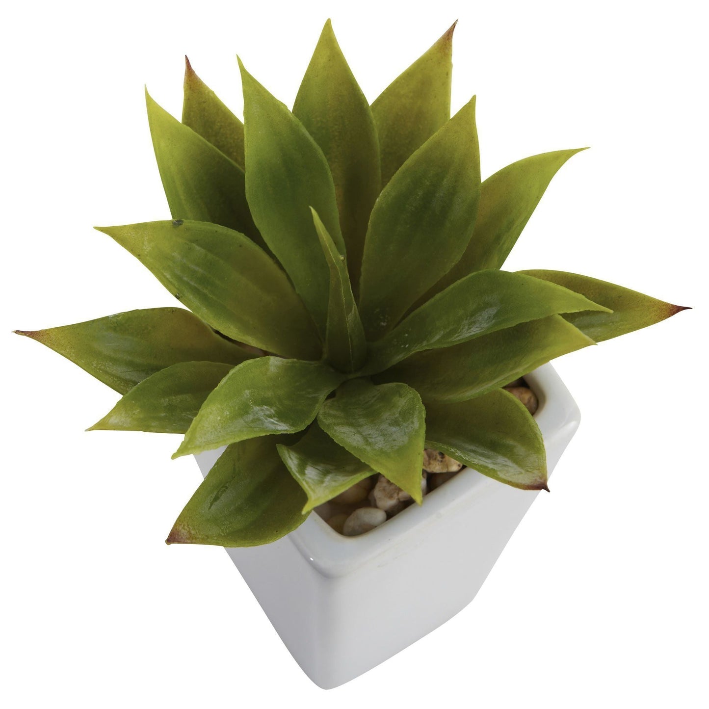 Mini Agave w/ Planter (Set of 3) White by Nearly Natural