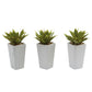 Mini Agave w/ Planter (Set of 3) White by Nearly Natural