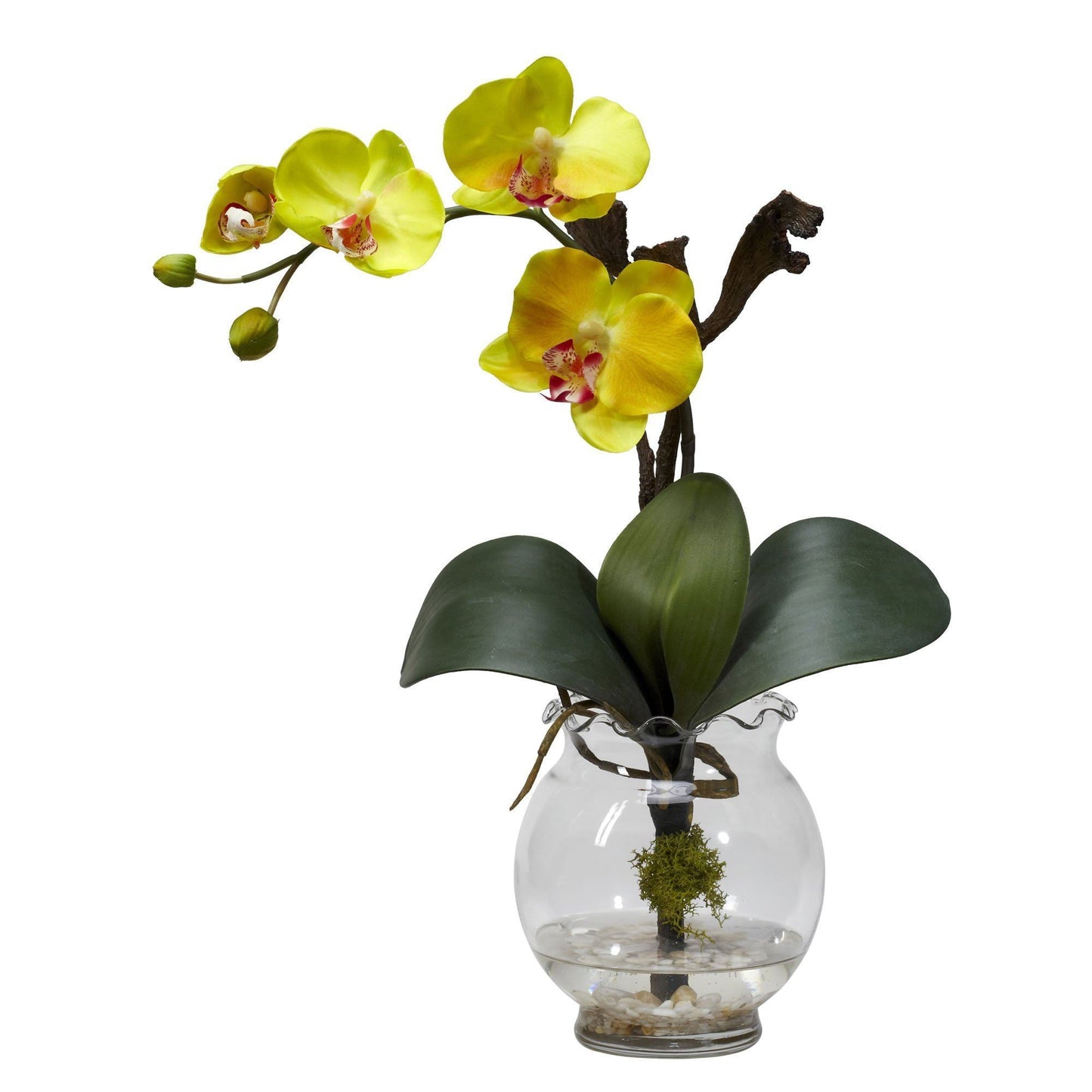 Mini Phalaenopsis w/Fluted Vase Silk Flower Arrangement by Nearly Natural