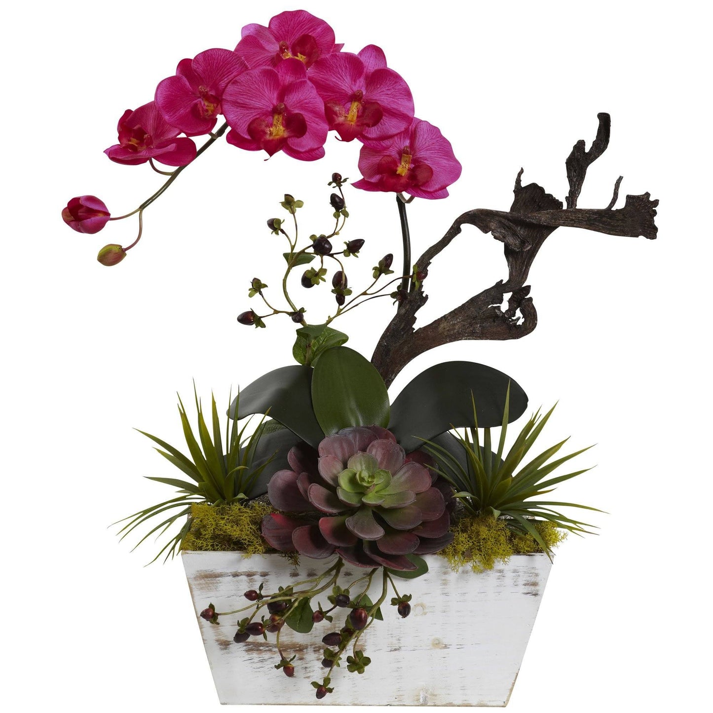 Orchid & Succulent Garden with White Wash Planter by Nearly Natural