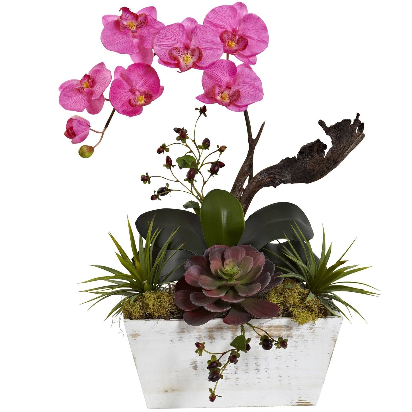 Orchid & Succulent Garden with White Wash Planter by Nearly Natural