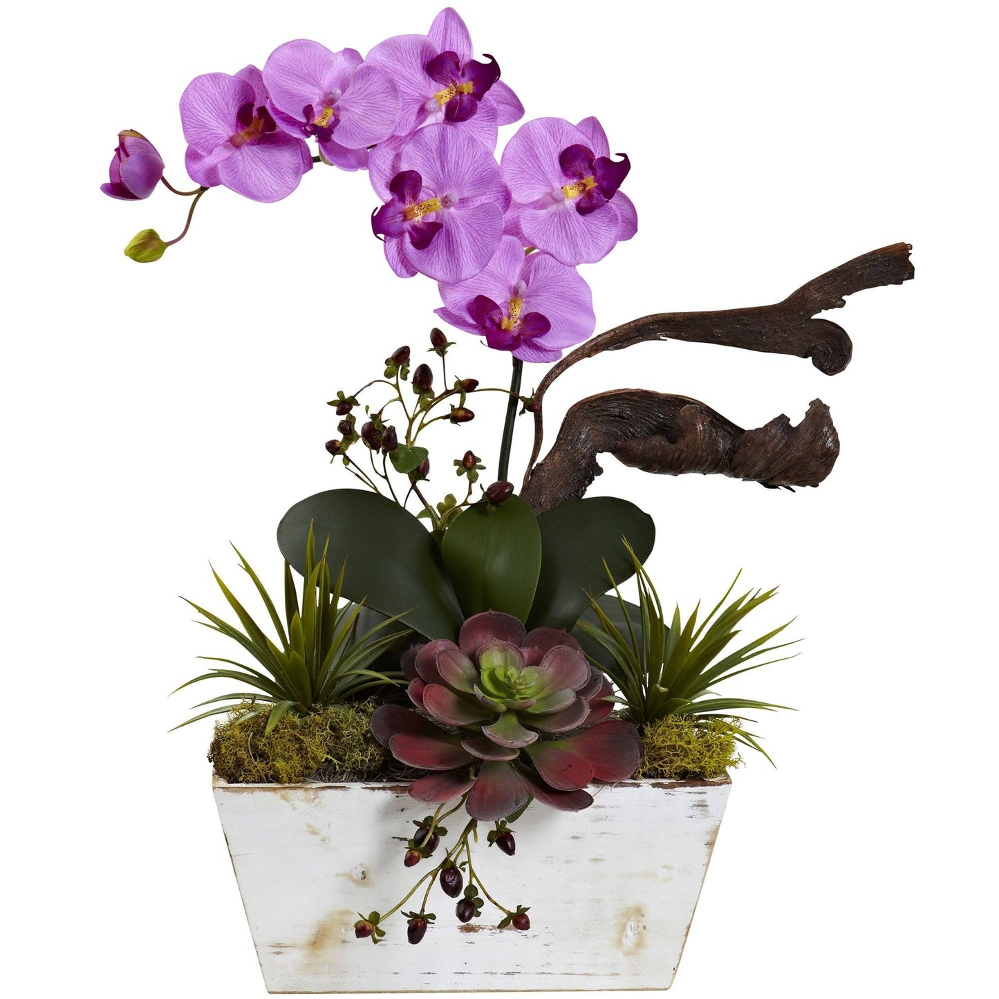 Orchid & Succulent Garden with White Wash Planter by Nearly Natural