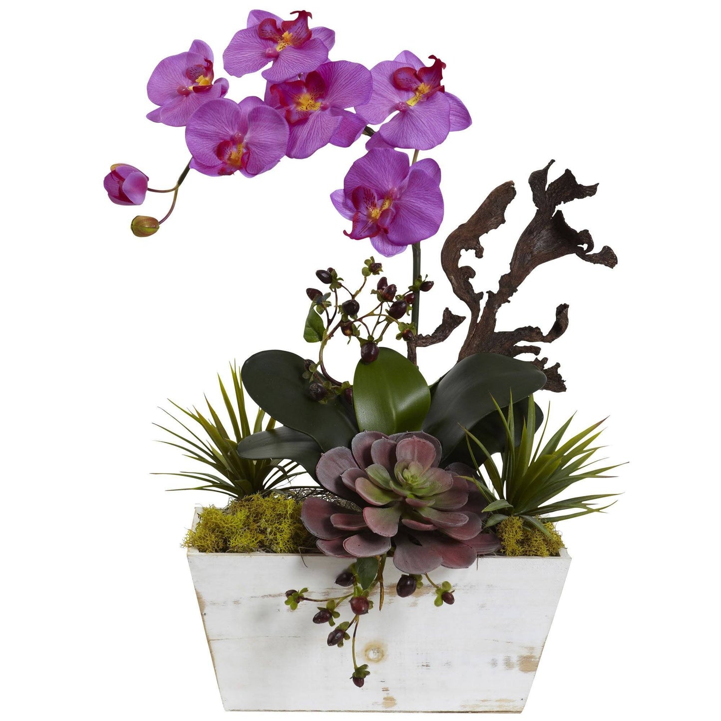 Orchid & Succulent Garden with White Wash Planter by Nearly Natural