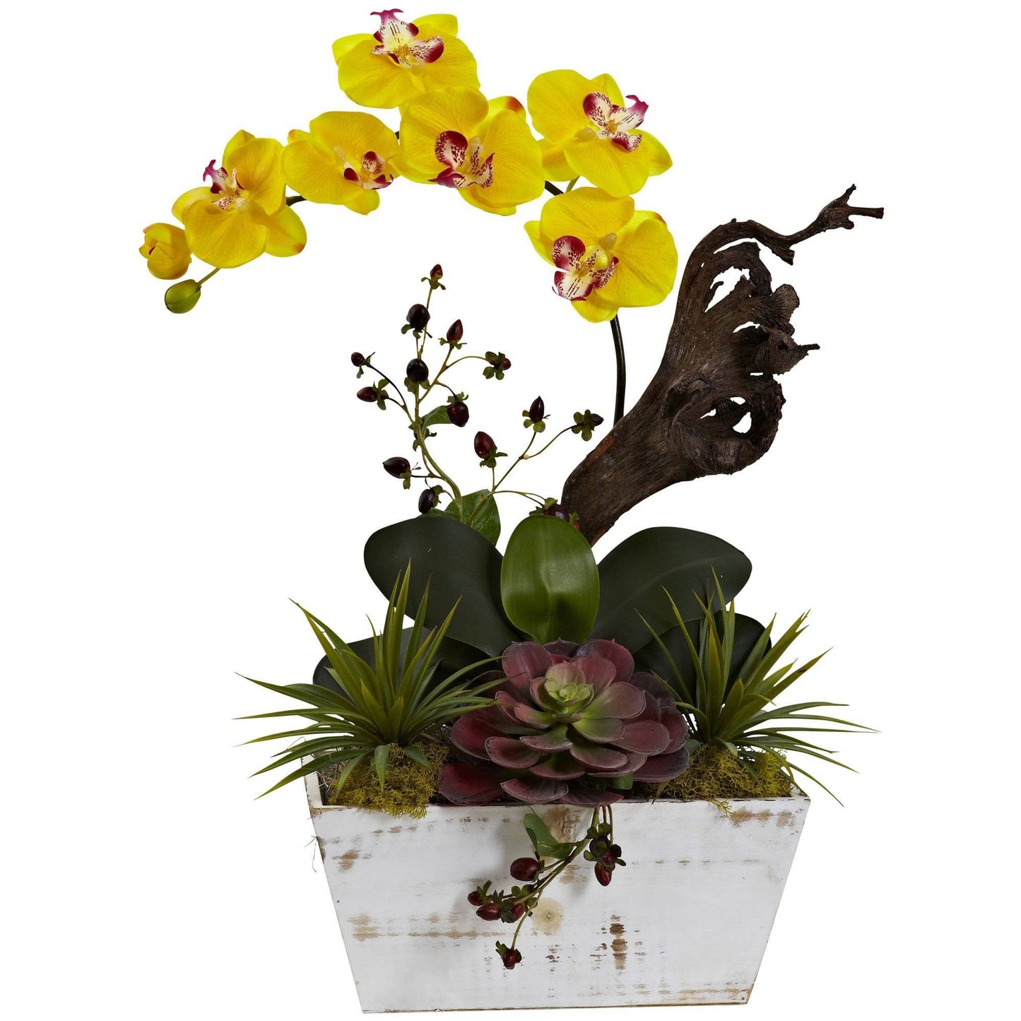 Orchid & Succulent Garden with White Wash Planter by Nearly Natural