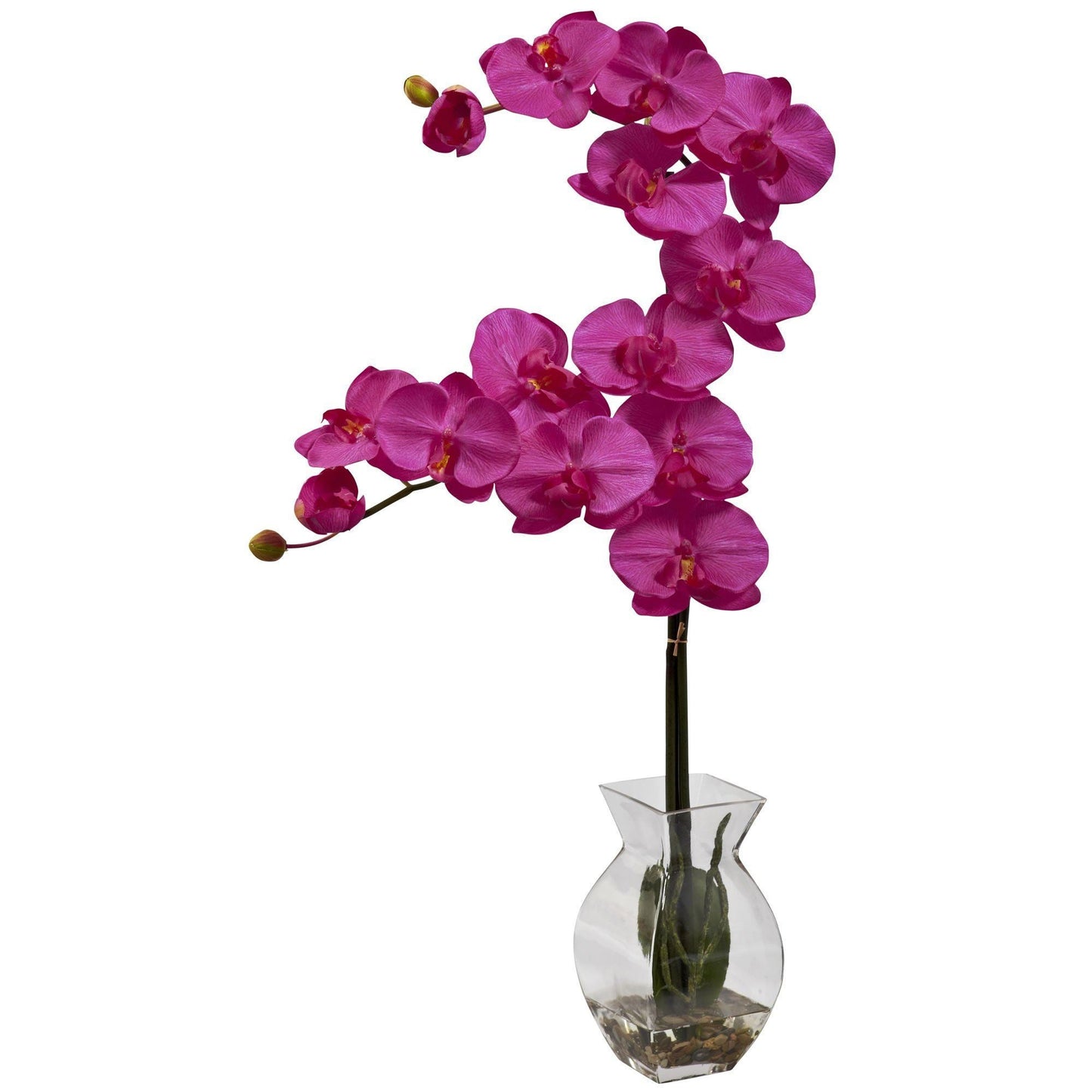 Phalaenopsis Orchid w/Vase Arrangement by Nearly Natural