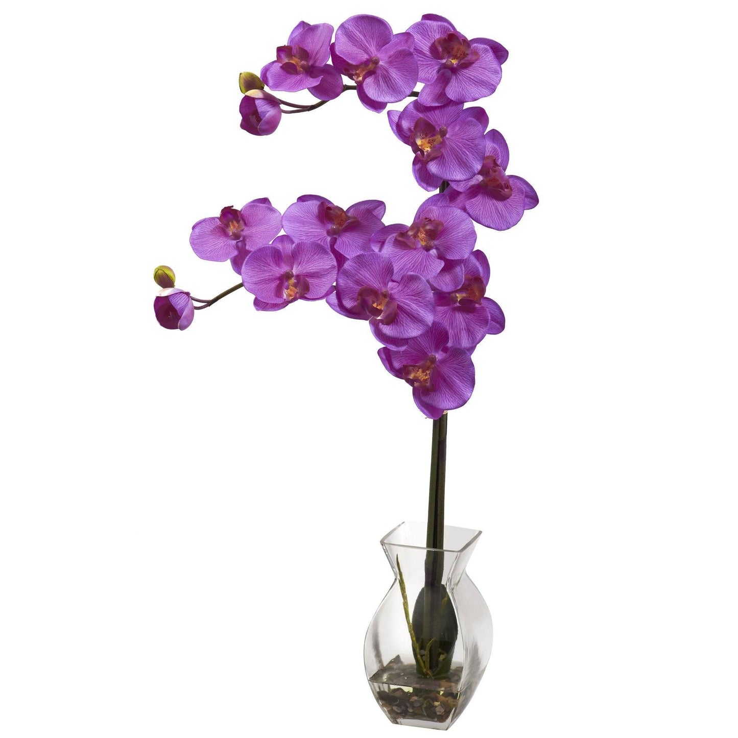 Phalaenopsis Orchid w/Vase Arrangement by Nearly Natural