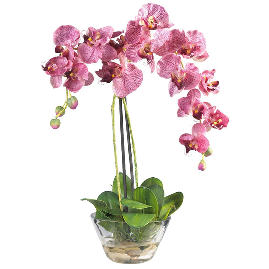 Phalaenopsis w/Glass Vase Silk Flower Arrangement by Nearly Natural