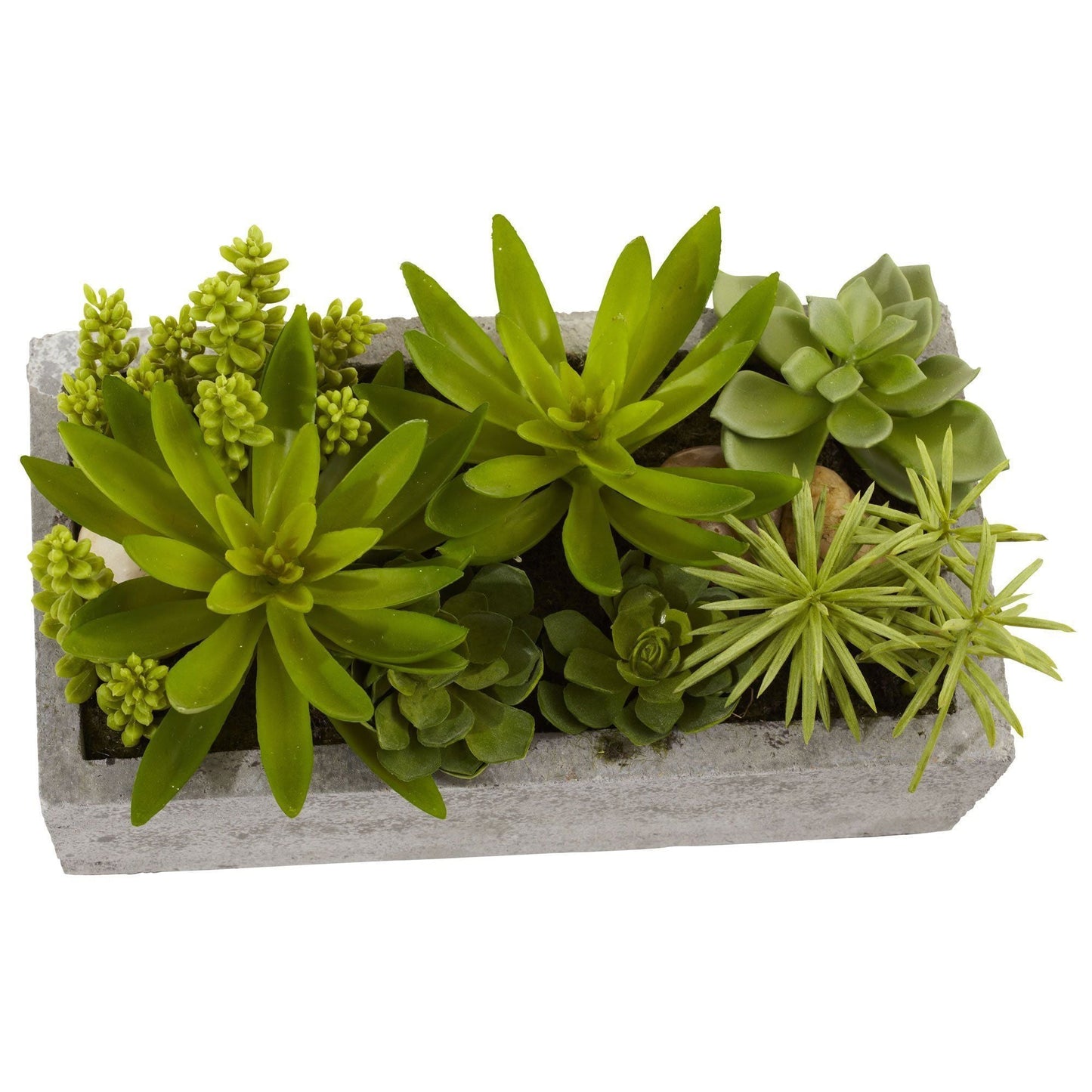 Succulent Garden w/Concrete Planter by Nearly Natural