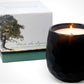 Botanique Black 16 oz Candle by Andaluca Home