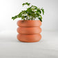 Bubble Planter by Rosebud HomeGoods