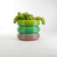 Bubble Planter by Rosebud HomeGoods