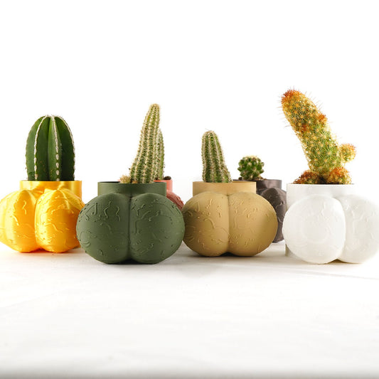 Sir Richard Plant Pot With Drainage, Funny Gag Gifts for Cactus Lovers by Rosebud HomeGoods