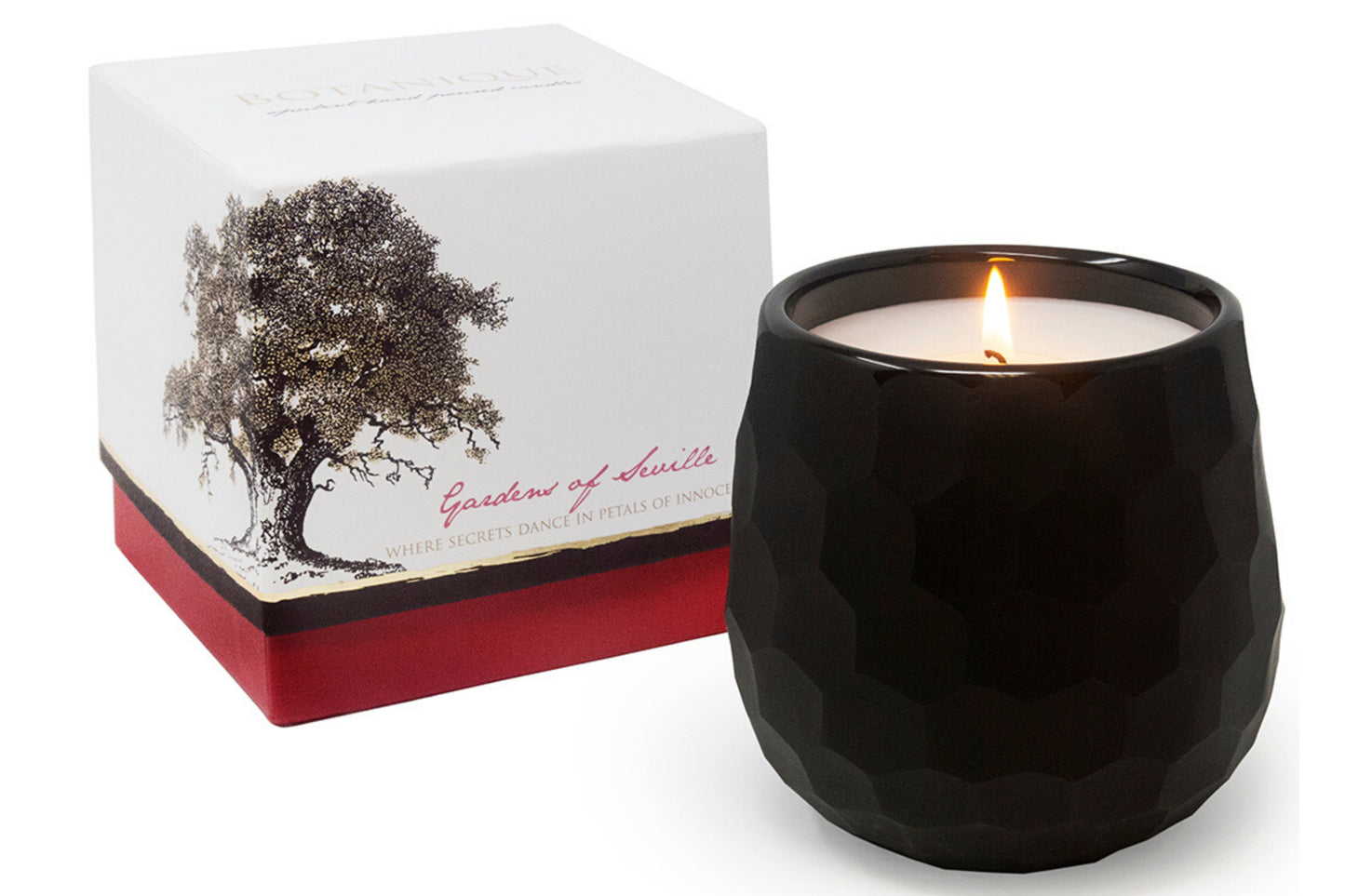 Botanique Black 16 oz Candle by Andaluca Home