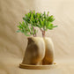 Muscle Butt Planter, Funny White Elephant Gifts for Plant Lovers by Rosebud HomeGoods