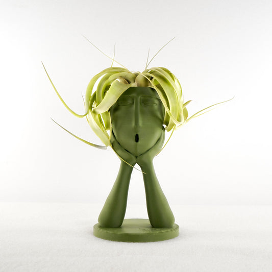 Stonehenge “Oops” Air Head Planter by Rosebud HomeGoods