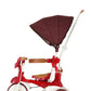 iimo 3-in-1 Foldable Tricycle with Canopy by iimo USA store