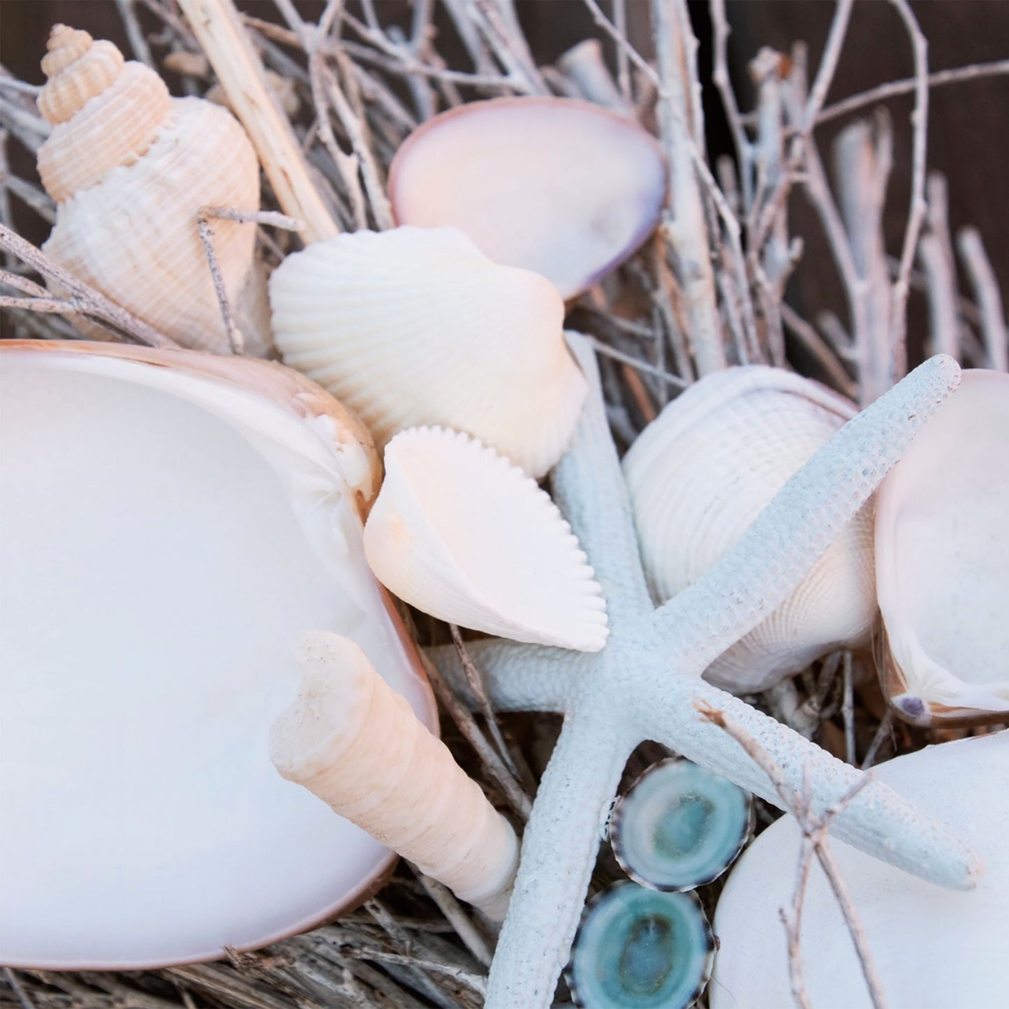 19" White & Light Blue Seashell Wreath by Andaluca Home