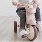 iimo 3-in-1 Foldable Tricycle with Canopy by iimo USA store