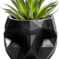 Skeleton Halloween Geometrical Skull Plant Planter Pot 6" Deep Polyresin Skulls Pot for Succulents, Indoor Plants & Flowers - Serving Bowl, Goth Spooky Décor Black by Gute Decor