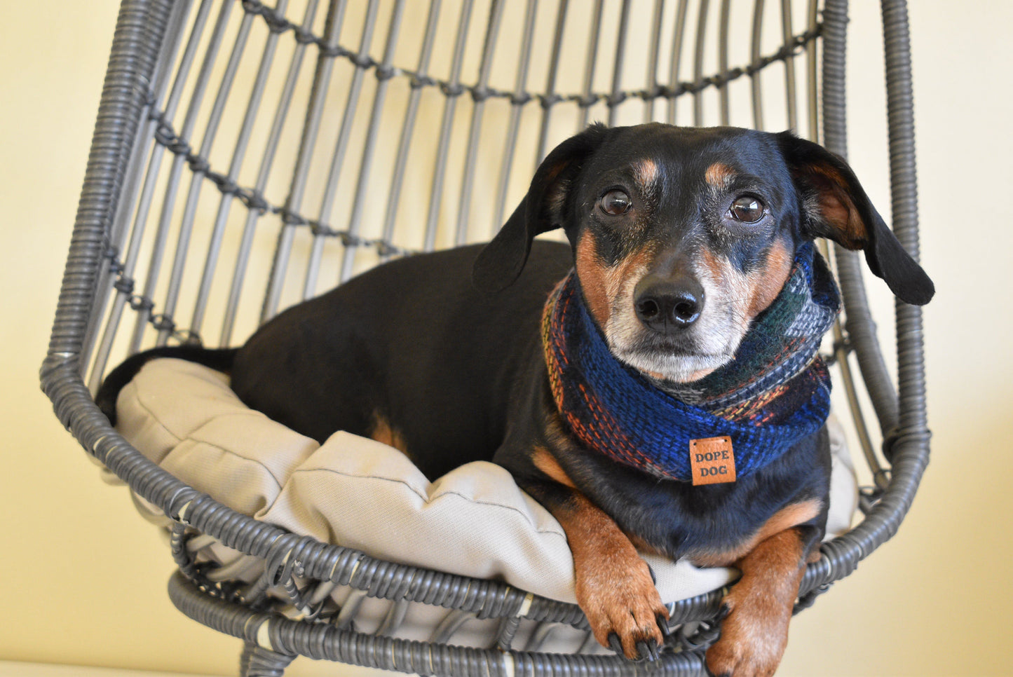 Grand Canyon Dog Scarf by Dope Dog Co